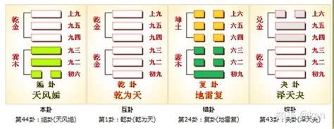 巽乾卦|周易第44卦